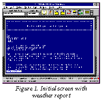 Figure 1. Initial screen with weather report