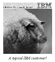 A typical IBM customer?